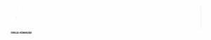 Seta 3