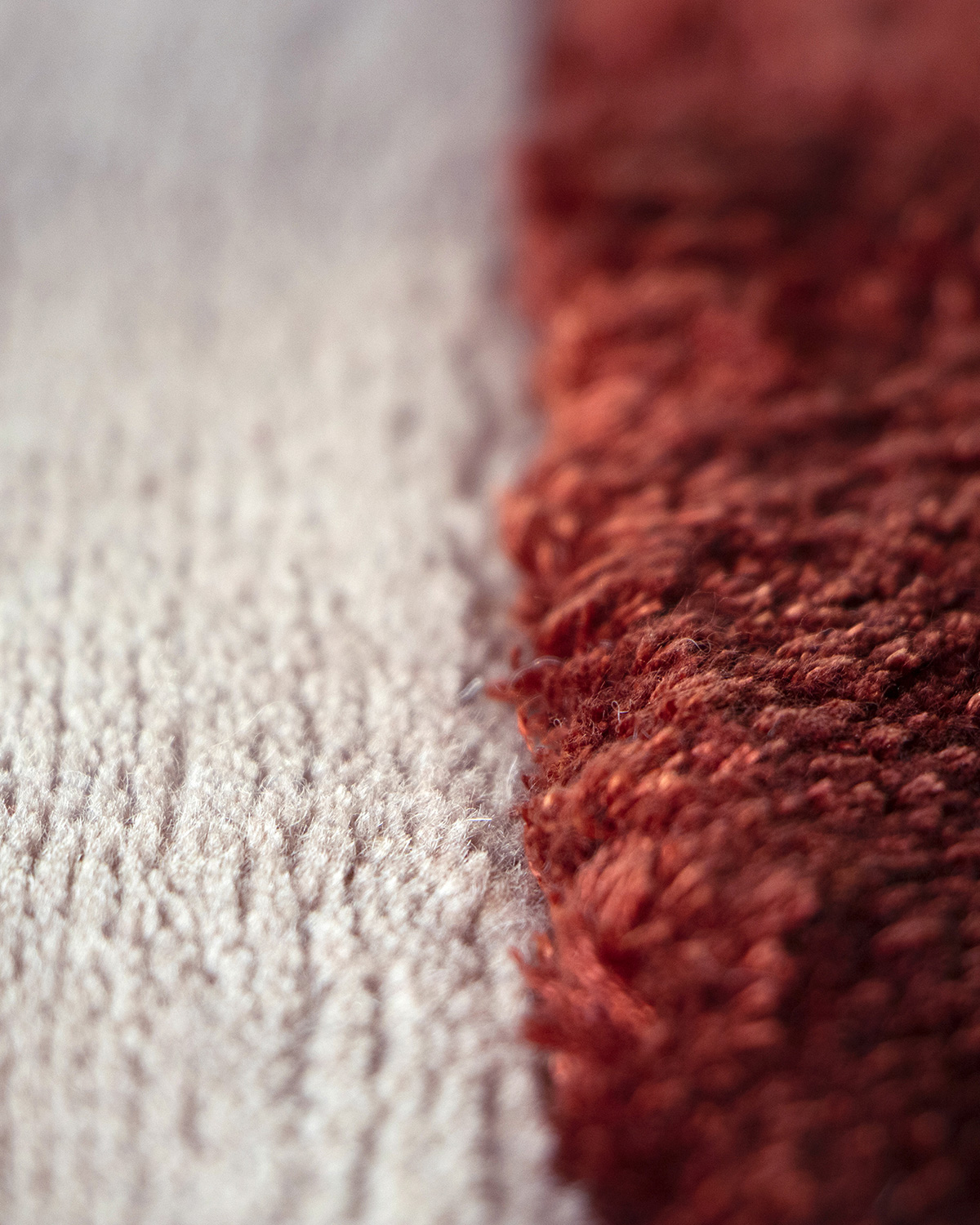 Signature Designer Rugs I Gemelli